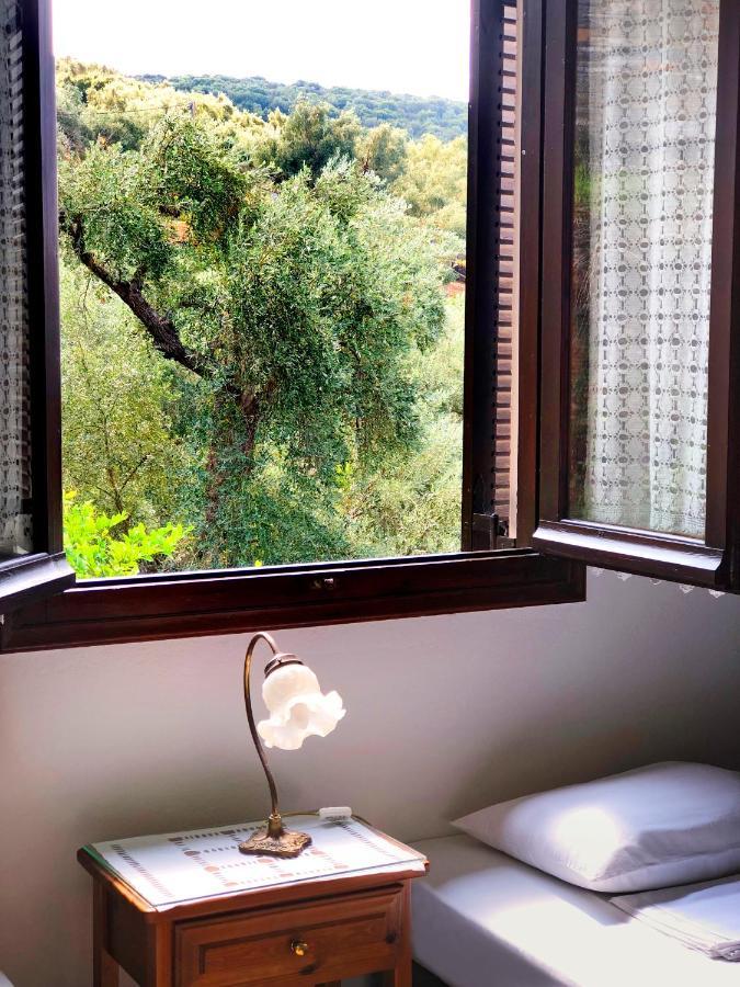 Lefkothea Apartment Chorto