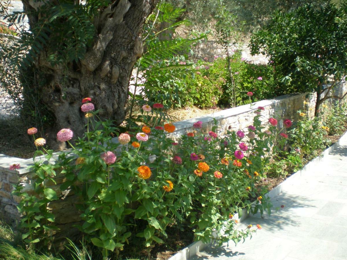 Apartment Lefkothea